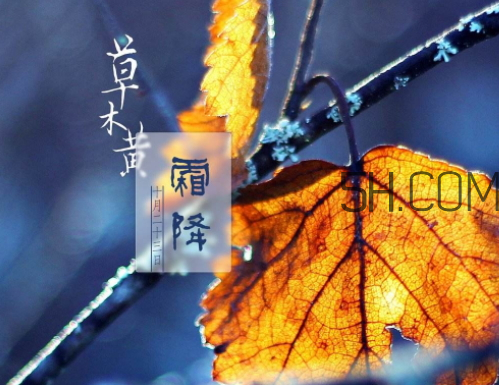 2017霜降會下雨嗎 霜降下雨好嗎 2017霜降會下雨嗎 霜降下雨好嗎