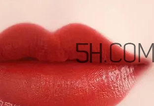 hold live小辣椒口紅20號磚紅色和mac chili試色對比 hold live小辣椒口紅20號磚紅色和mac chili試色對比