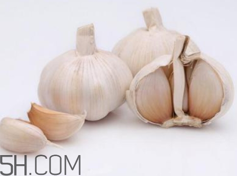 2018年大蒜多少錢一斤 2018年大蒜價(jià)格預(yù)測 2018年大蒜多少錢一斤 2018年大蒜價(jià)格預(yù)測