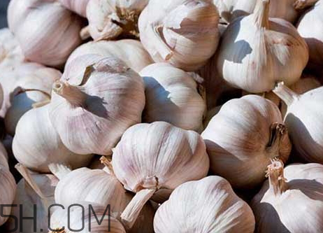 2018年大蒜多少錢一斤 2018年大蒜價(jià)格預(yù)測 2018年大蒜多少錢一斤 2018年大蒜價(jià)格預(yù)測