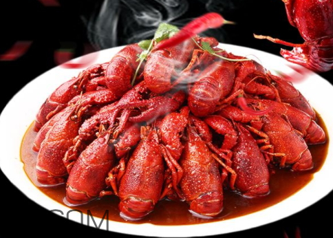 2018年小龍蝦多少錢一斤？2018年養(yǎng)殖小龍蝦的前景