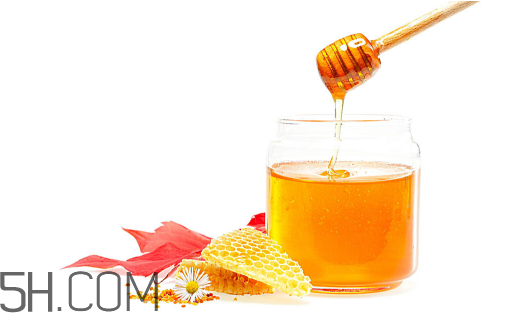 秋天早上能吃姜嗎？秋天喝什么蜂蜜好？