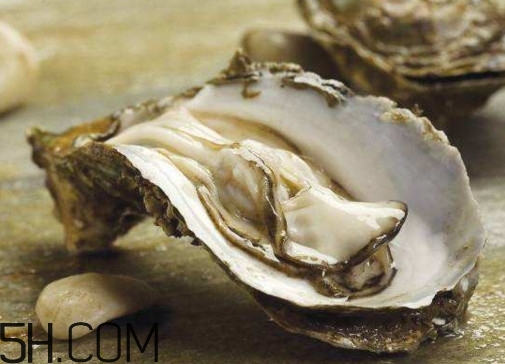 海蠣子是生蠔嗎？海蠣子和生蠔的區(qū)別