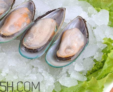 海蠣子是發(fā)物嗎？海蠣子什么人不能吃