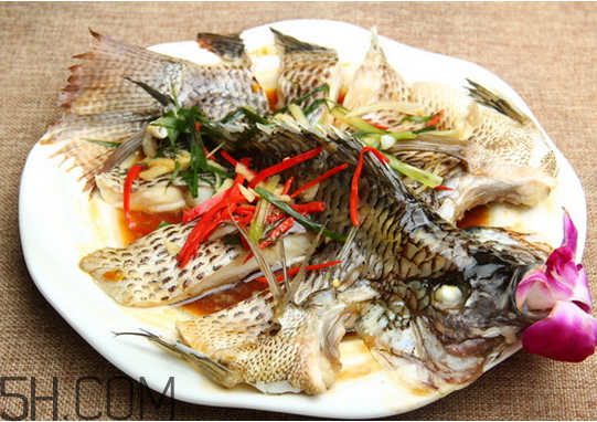 沒有魚刺的魚是哪種魚？如何挑選魚？