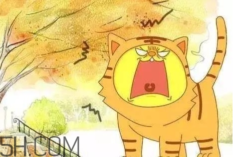 2017年有秋老虎嗎？秋老虎飲食注意事項