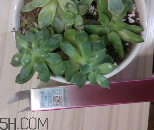 透真眼貼膜貼多長時(shí)間 透真眼貼膜怎么樣 透真眼貼膜貼多長時(shí)間 透真眼貼膜怎么樣