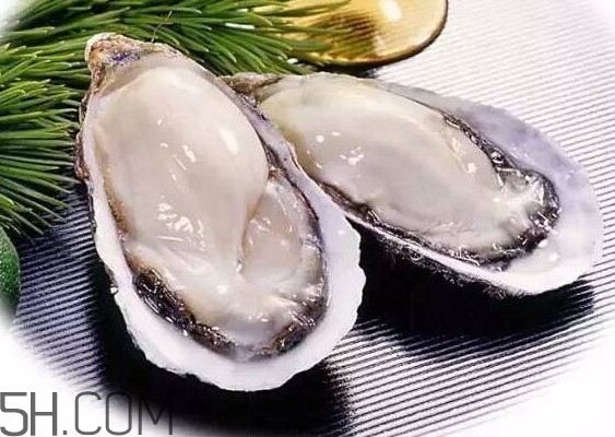 海蠣子是寒性的嗎？海蠣子是蒸還是煮好吃