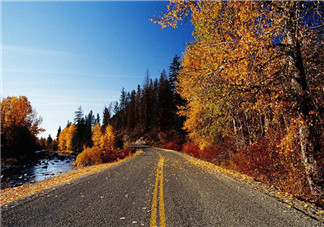 秋天喝蜂蜜有什么好處？秋天吃什么對身體好？