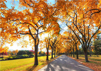 立秋后吃什么魚好？秋老虎吃什么解暑？