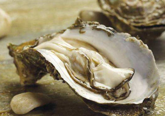 海蠣子是生蠔嗎？海蠣子和生蠔的區(qū)別
