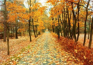 秋天怎么選擇防曬霜？秋天天天洗澡的危害