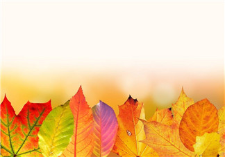 立秋后能吃醋泡姜嗎？醋泡姜什么時(shí)候吃最好？