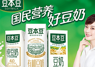 豆本豆豆奶多少錢一箱？豆本豆豆奶價格