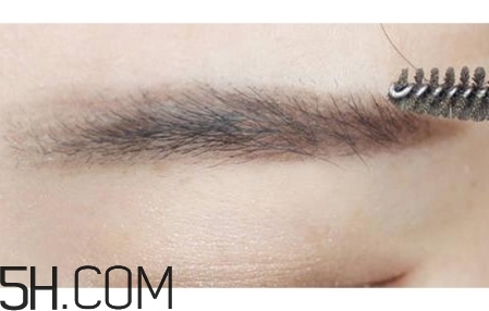 畫眉教程圖解 畫眉毛的技巧圖解一字眉 畫眉教程圖解 畫眉毛的技巧圖解一字眉