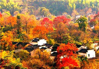 秋季滋補(bǔ)養(yǎng)生越補(bǔ)越好嗎？2017年秋天是幾月份？