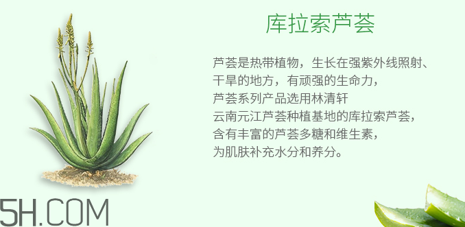 林清軒蘆薈面膜泥怎么樣？林清軒蘆薈面膜泥測評(píng)