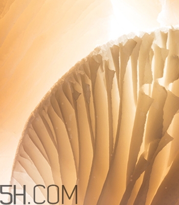 海藍(lán)之謎鎏光煥變蜜粉怎么樣？海藍(lán)之謎鎏光蜜粉好用嗎