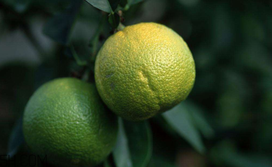 柚子不能和什么藥物一起吃？柚子皮煮水的功效