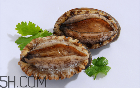 鮑魚吃了會(huì)上火嗎？鮑魚是發(fā)物嗎？