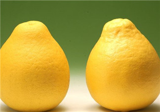 柚子不能和什么一起吃？文旦和柚子的區(qū)別