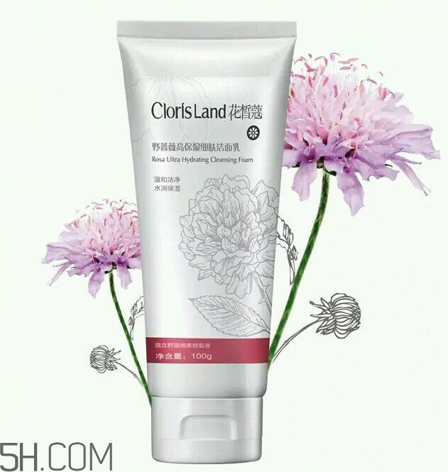 花皙蔻洗面奶怎么樣？花皙蔻洗面奶價(jià)格