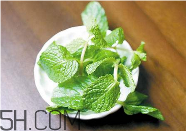 感冒可以喝酒嗎？薄荷治療感冒的方法