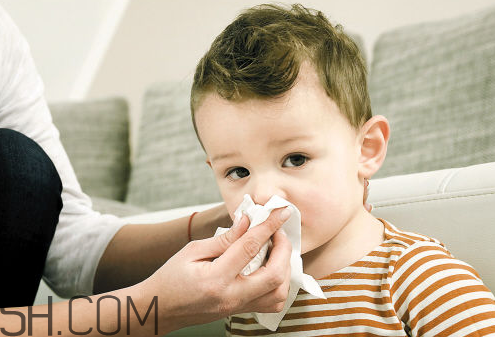 感冒能吃蘋果嗎？感冒藥吃了多久有效？