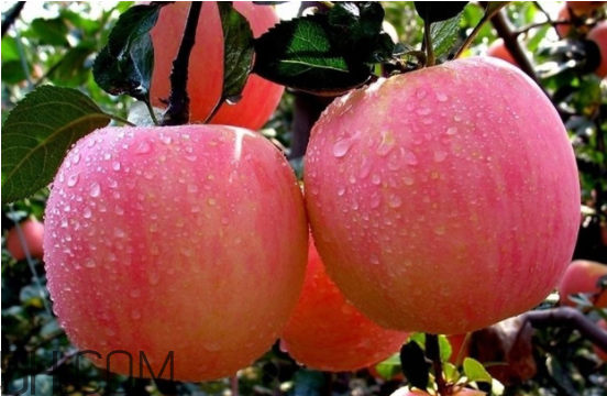 感冒藥吃幾天才會好？預(yù)防春季感冒的方法