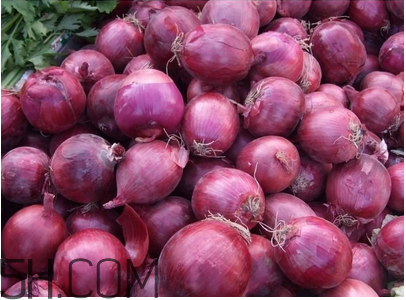 不同人群如何選擇感冒藥？感冒了能吃洋蔥嗎？