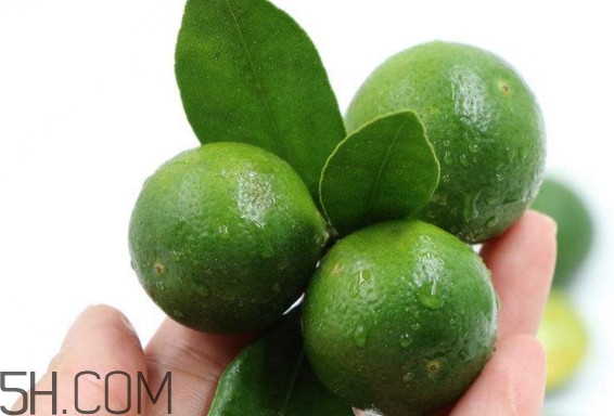 青金桔如何保存？青金桔什么人不能吃