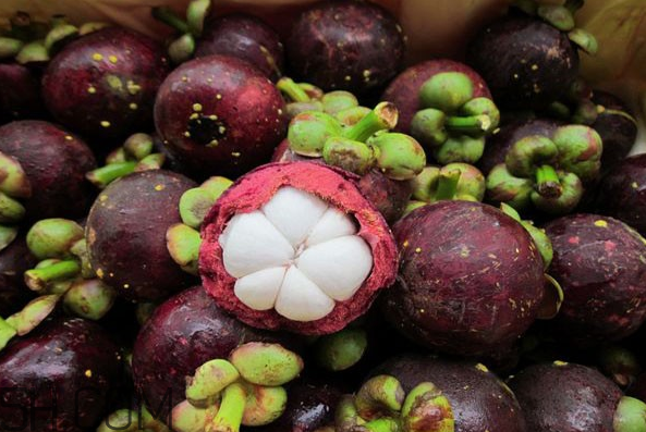 哪些人不能吃山竹？山竹軟的好還是硬的好？