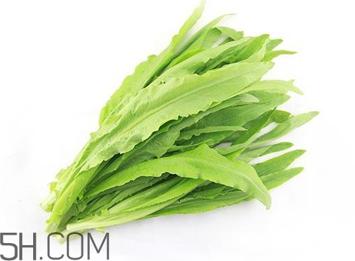 油麥菜是轉(zhuǎn)基因蔬菜嗎？油麥菜是發(fā)物嗎