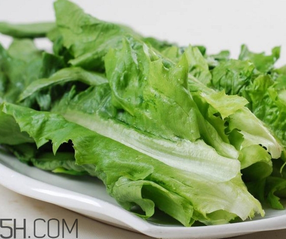 西紅柿和油麥菜能一起吃嗎？油麥菜能包餃子嗎
