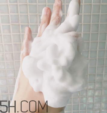 資生堂新漾美肌潔面膏好用嗎_多少錢(qián)