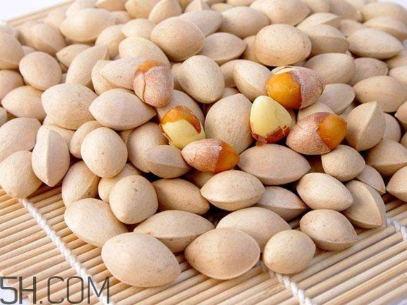 白果一天最多吃幾顆？白果什么時候采摘