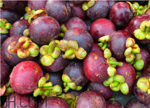 山竹苦的能吃嗎？山竹和芒果可以一起吃嗎？