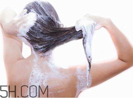 醋洗頭是白醋還是陳醋？用醋洗頭要用洗發(fā)水嗎？