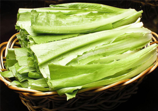 西紅柿和油麥菜能一起吃嗎？油麥菜能包餃子嗎