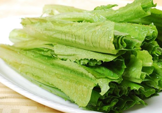 油麥菜不能和什么一起吃？油麥菜什么人不能吃