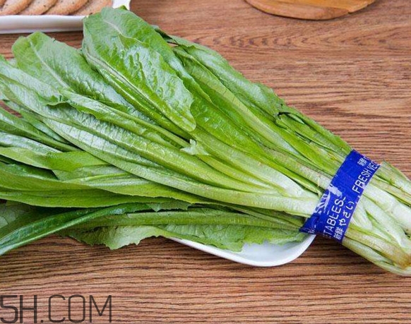 油麥菜可以隔夜嗎？油麥菜可以涮火鍋嗎