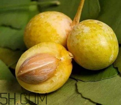 白果沒熟吃了會怎么樣？白果熟了是什么樣子的