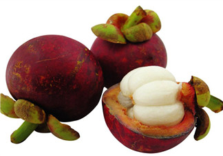 2017年山竹多少錢一斤？山竹什么時候成熟？