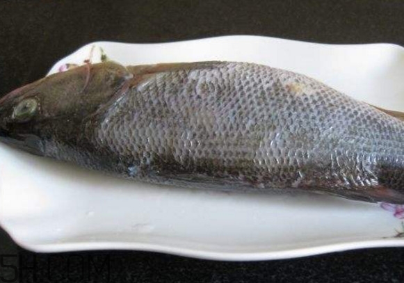 鮭魚是三文魚嗎？鮭魚的營養(yǎng)價(jià)值