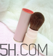 資生堂心機(jī)彩妝臻采腮紅色號_多少錢 資生堂心機(jī)彩妝臻采腮紅色號_多少錢