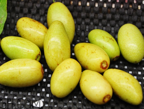 鮮棗營養(yǎng)價值有多高？鮮棗不能和什么一起吃