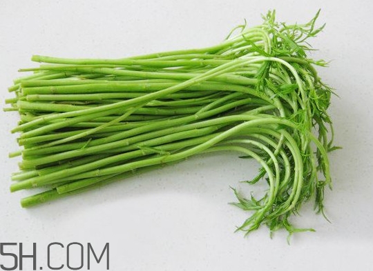 藜蒿多少錢一斤？藜蒿和蘆蒿是同一種菜嗎？