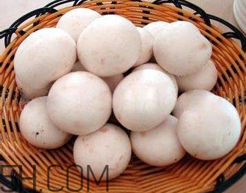 口蘑的口字是怎么來的？口蘑怎么清洗