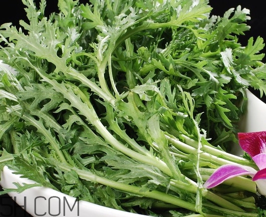 皇帝菜是什么樣子？皇帝菜又叫什么菜