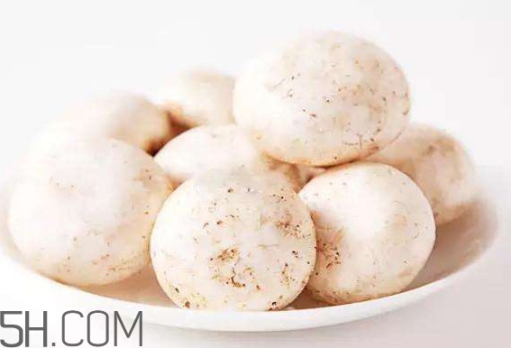 口蘑怎么挑選？口蘑有毒嗎